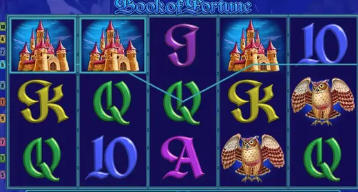 Book of Fortune слот max win казино Book of Fortune max win